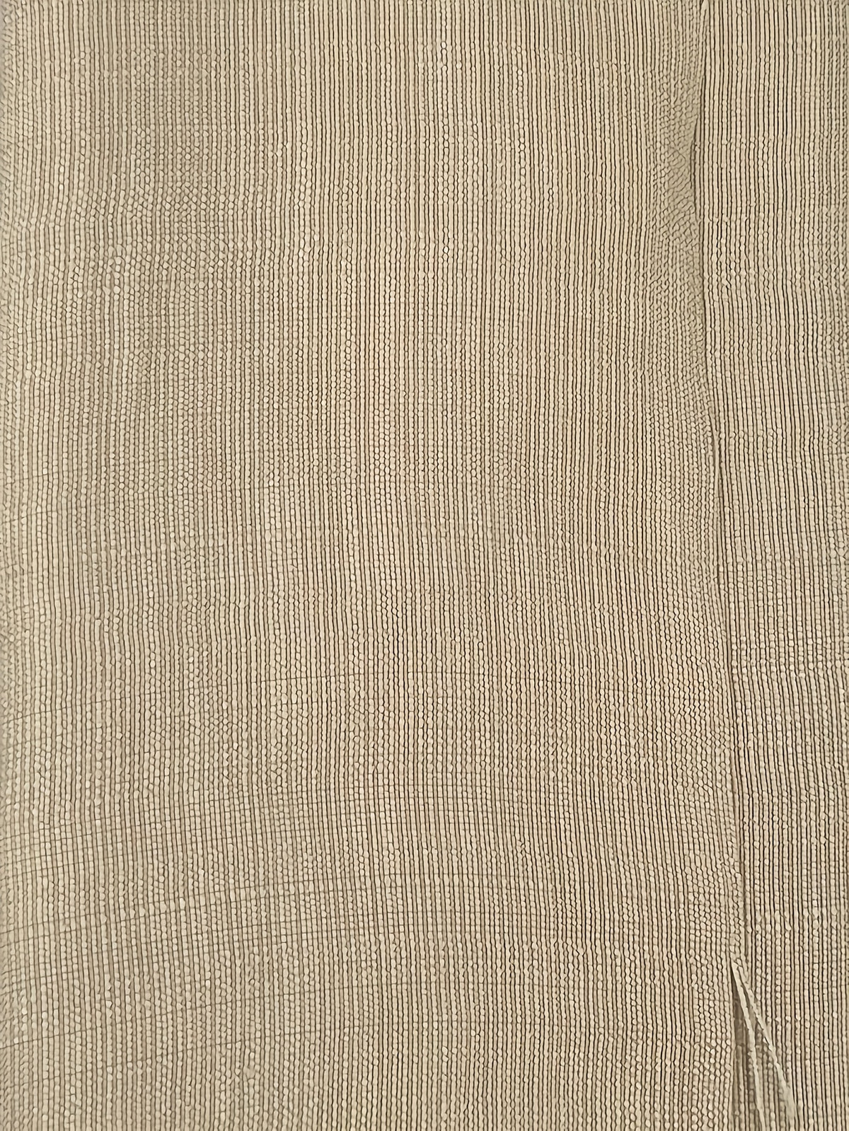 Chemise grande taille, coupe ample, tombé fluide, vu de dos