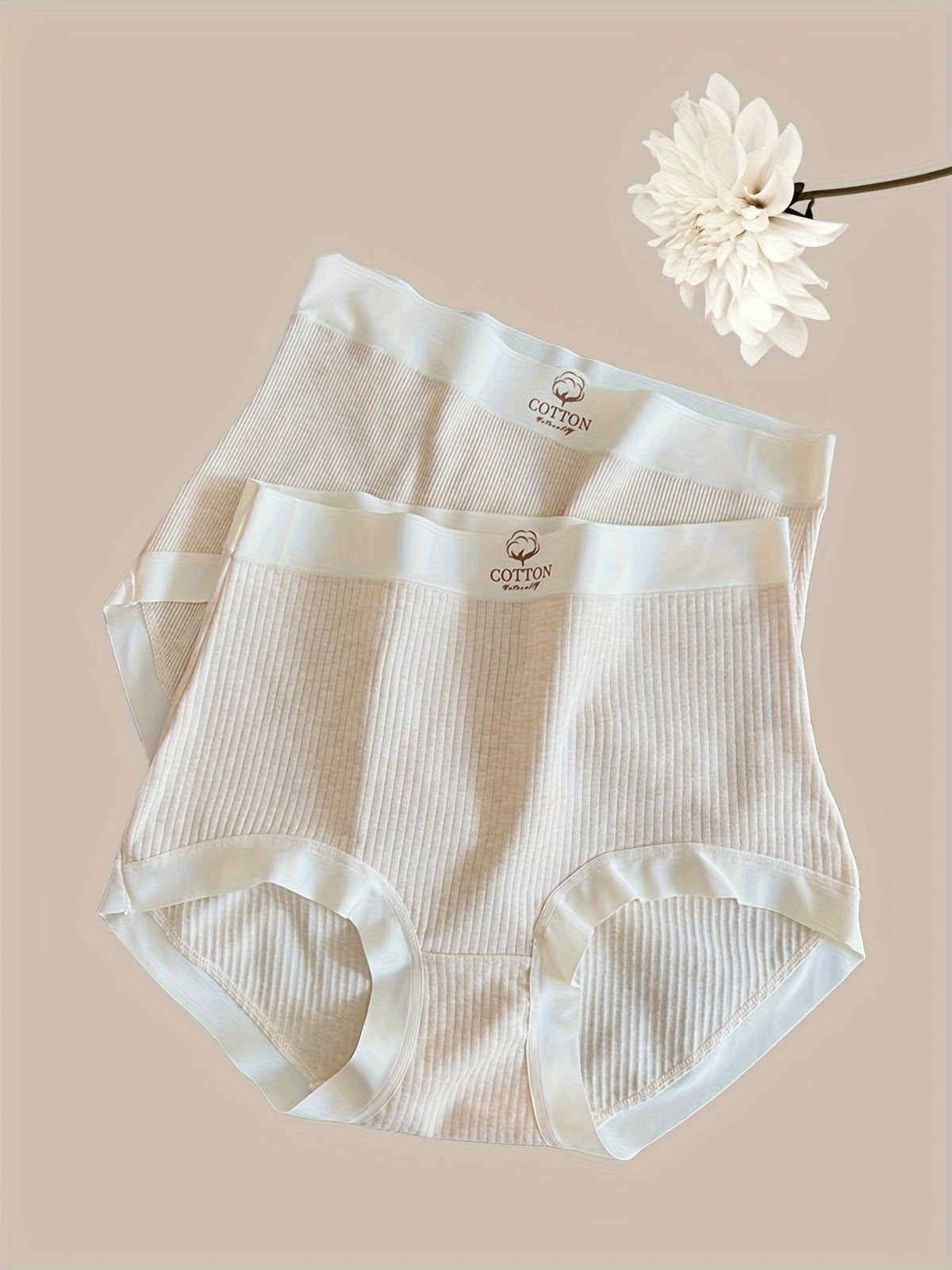 Culotte grande taille, toucher naturel, ligne épurée